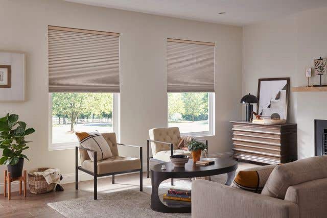 Living Room with Architectural Honeycomb Shades