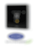 Carrier thermostat